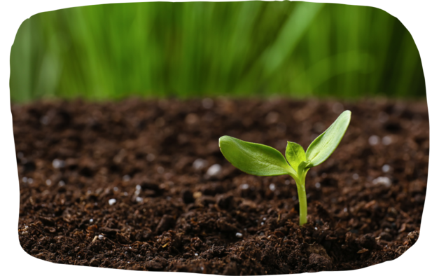 Beginning of a recruiting company